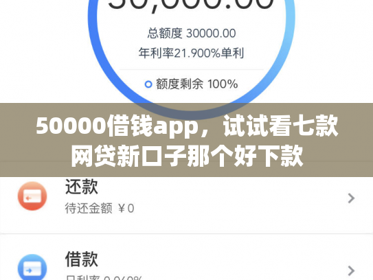 50000借钱app，试试看七款网贷新口子那个好下款