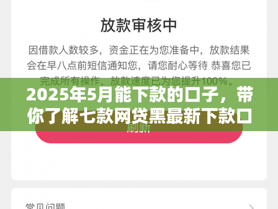 2025年5月能下款的口子，带你了解七款网贷黑最新下款口子