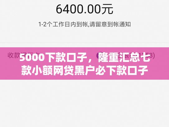 5000下款口子，隆重汇总七款小额网贷黑户必下款口子