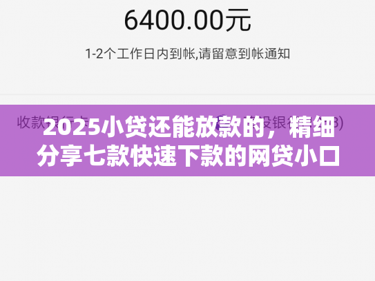 2025小贷还能放款的，精细分享七款快速下款的网贷小口子