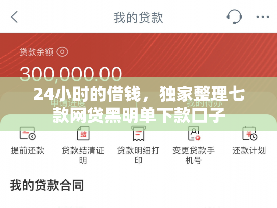 24小时的借钱，独家整理七款网贷黑明单下款口子