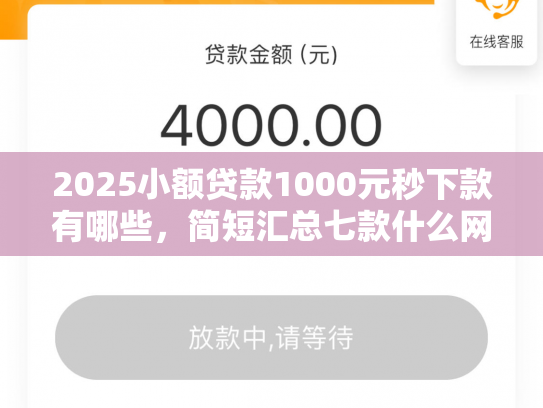 2025小额贷款1000元秒下款有哪些，简短汇总七款什么网贷秒下款新口子