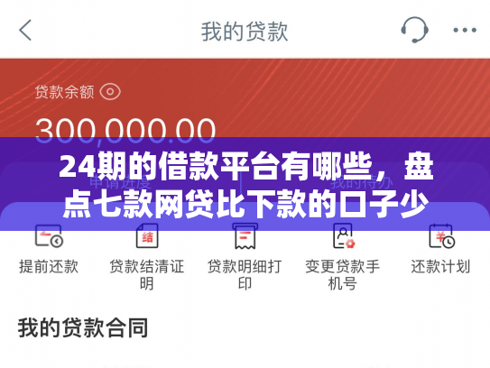 24期的借款平台有哪些，盘点七款网贷比下款的口子少