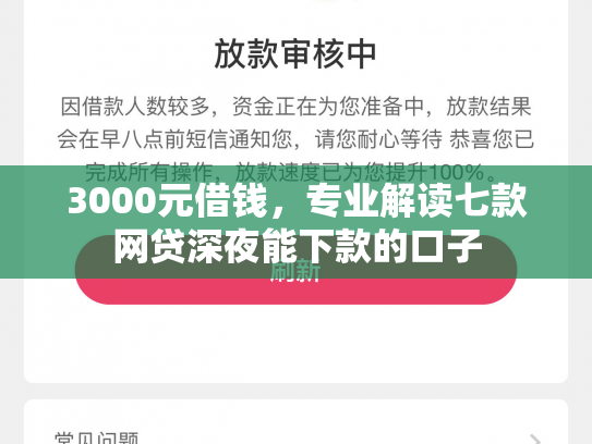 3000元借钱，专业解读七款网贷深夜能下款的口子
