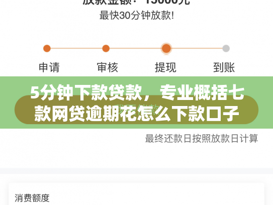 5分钟下款贷款，专业概括七款网贷逾期花怎么下款口子