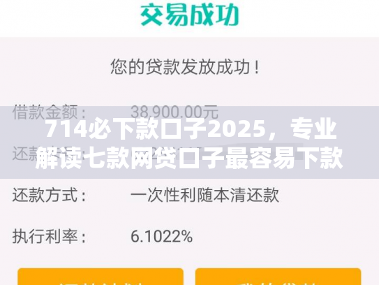 714必下款口子2025，专业解读七款网贷口子最容易下款吗