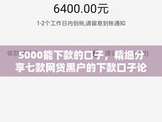 5000能下款的口子，精细分享七款网贷黑户的下款口子论坛