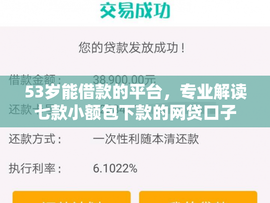53岁能借款的平台，专业解读七款小额包下款的网贷口子