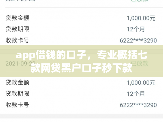 app借钱的口子，专业概括七款网贷黑户口子秒下款
