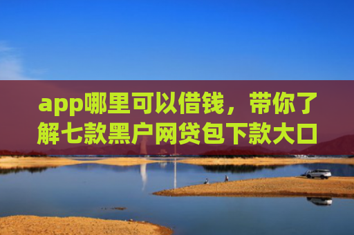 app哪里可以借钱，带你了解七款黑户网贷包下款大口子
