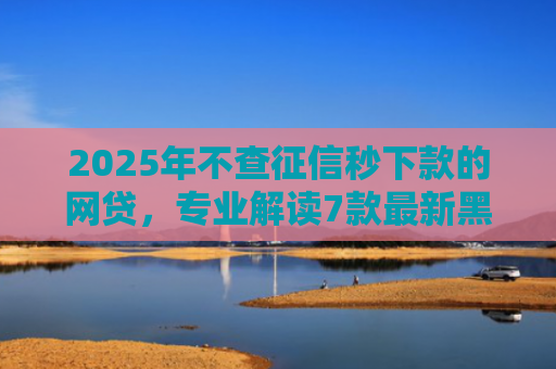 2025年不查征信秒下款的网贷，专业解读7款最新黑户网贷下款口子