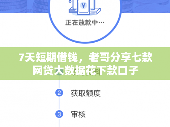 7天短期借钱，老哥分享七款网贷大数据花下款口子