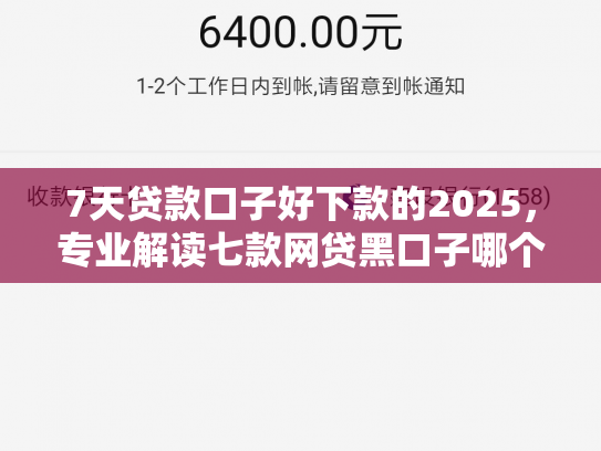 7天贷款口子好下款的2025，专业解读七款网贷黑口子哪个下款快