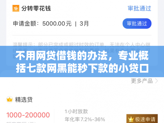 不用网贷借钱的办法，专业概括七款网黑能秒下款的小贷口子