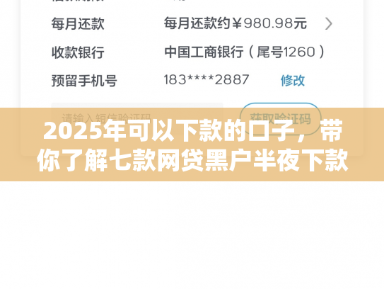 2025年可以下款的口子，带你了解七款网贷黑户半夜下款口子