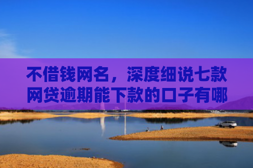 不借钱网名，深度细说七款网贷逾期能下款的口子有哪些