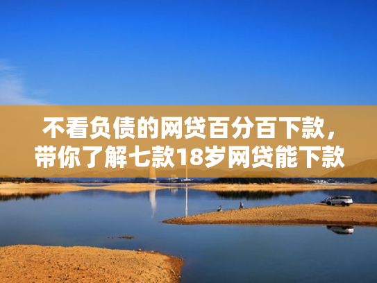不看负债的网贷百分百下款，带你了解七款18岁网贷能下款的口子2025
