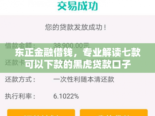 东正金融借钱，专业解读七款可以下款的黑虎贷款口子