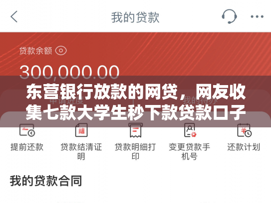 东营银行放款的网贷，网友收集七款大学生秒下款贷款口子6