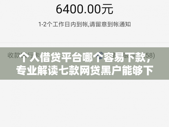 个人借贷平台哪个容易下款，专业解读七款网贷黑户能够下款