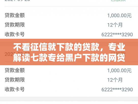 不看征信就下款的贷款，专业解读七款专给黑户下款的网贷口子