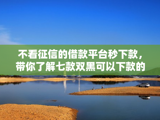 不看征信的借款平台秒下款，带你了解七款双黑可以下款的网贷口子