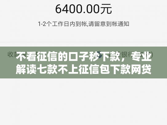 不看征信的口子秒下款，专业解读七款不上征信包下款网贷口子