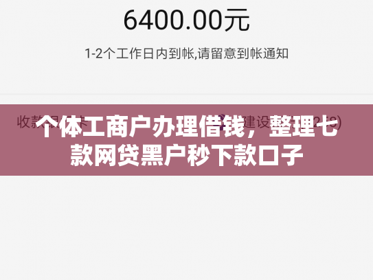 个体工商户办理借钱，整理七款网贷黑户秒下款口子