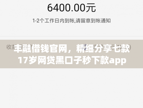 丰融借钱官网，精细分享七款17岁网贷黑口子秒下款app