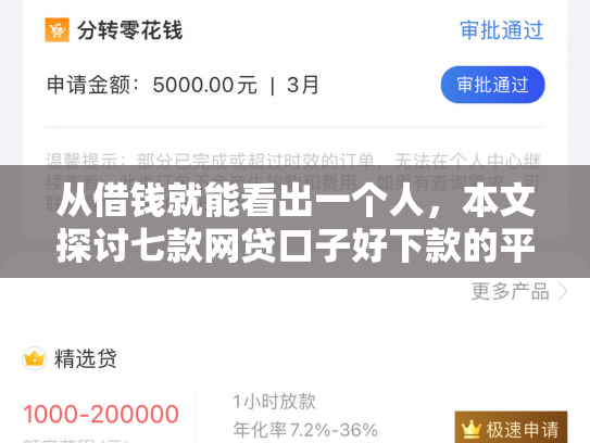 从借钱就能看出一个人，本文探讨七款网贷口子好下款的平台是哪个