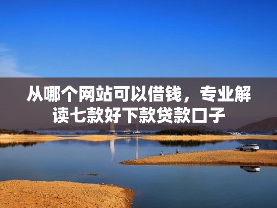 从哪个网站可以借钱，专业解读七款好下款贷款口子