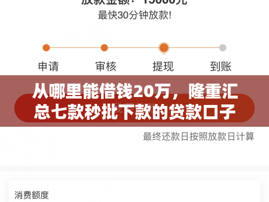 从哪里能借钱20万，隆重汇总七款秒批下款的贷款口子
