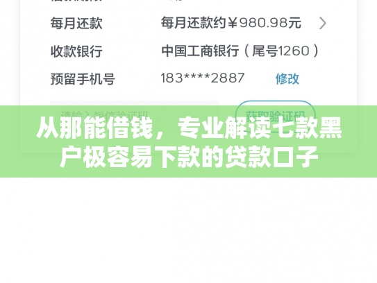 从那能借钱，专业解读七款黑户极容易下款的贷款口子