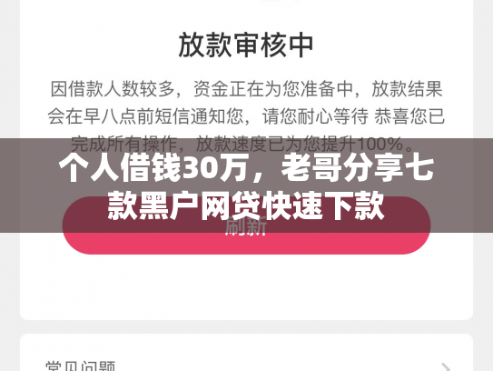 个人借钱30万，老哥分享七款黑户网贷快速下款