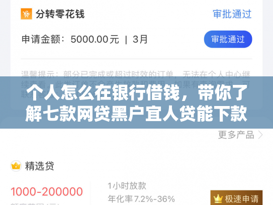 个人怎么在银行借钱，带你了解七款网贷黑户宜人贷能下款吗