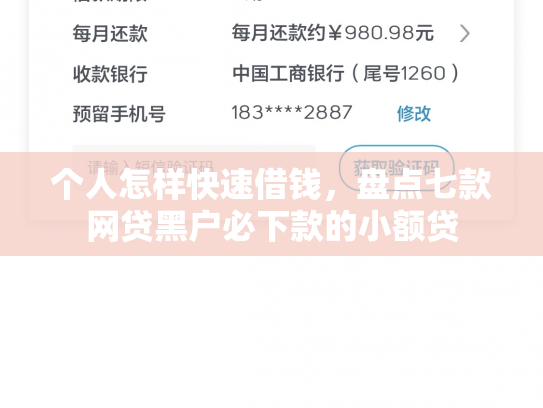 个人怎样快速借钱，盘点七款网贷黑户必下款的小额贷