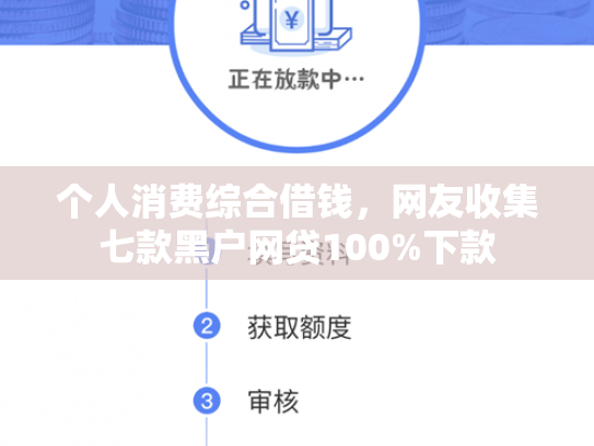 个人消费综合借钱，网友收集七款黑户网贷100%下款
