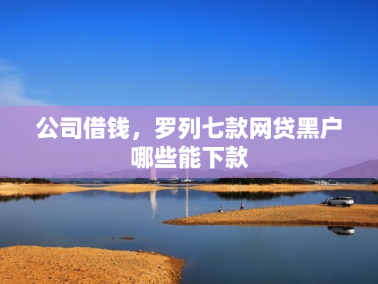 公司借钱，罗列七款网贷黑户哪些能下款