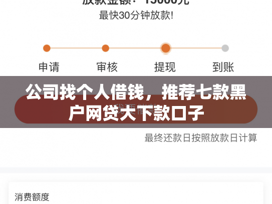 公司找个人借钱，推荐七款黑户网贷大下款口子