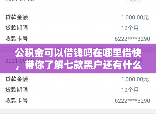 公积金可以借钱吗在哪里借快，带你了解七款黑户还有什么网贷下款