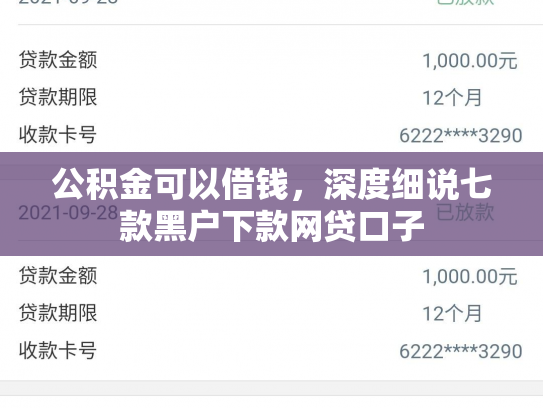 公积金可以借钱，深度细说七款黑户下款网贷口子