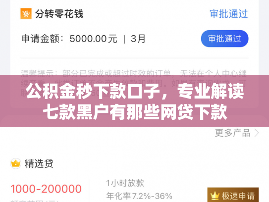 公积金秒下款口子，专业解读七款黑户有那些网贷下款