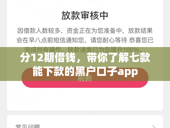 分12期借钱，带你了解七款能下款的黑户口子app