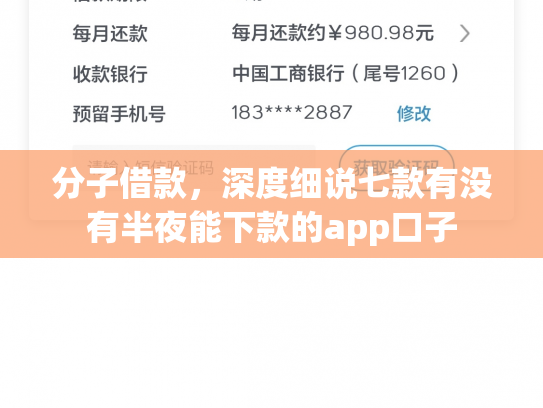 分子借款，深度细说七款有没有半夜能下款的app口子