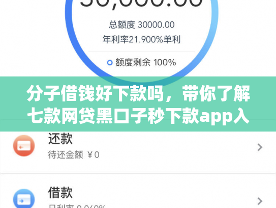 分子借钱好下款吗，带你了解七款网贷黑口子秒下款app入口