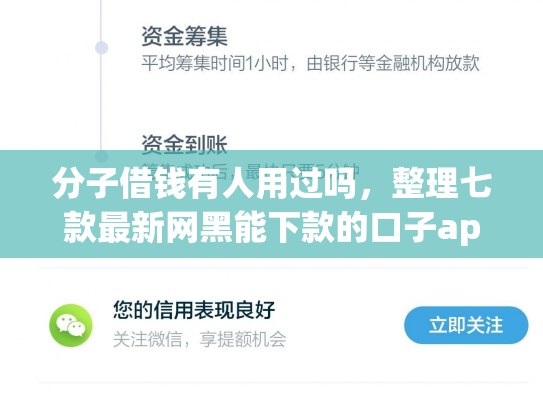 分子借钱有人用过吗，整理七款最新网黑能下款的口子app