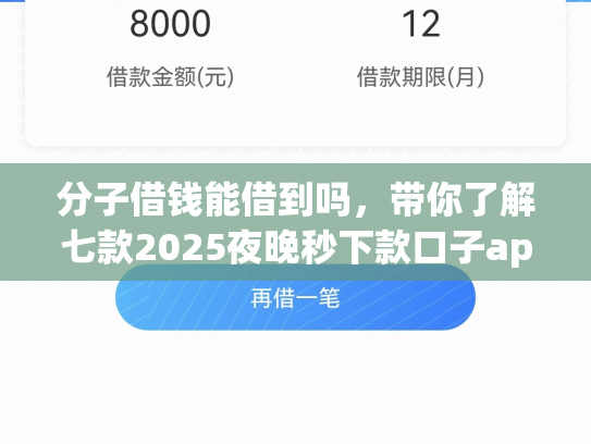 分子借钱能借到吗，带你了解七款2025夜晚秒下款口子app