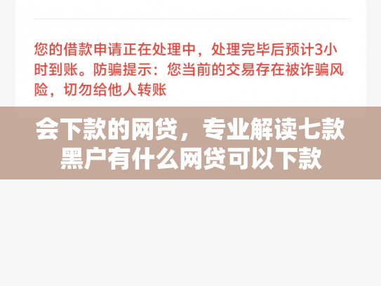 会下款的网贷，专业解读七款黑户有什么网贷可以下款