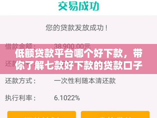 低额贷款平台哪个好下款，带你了解七款好下款的贷款口子有哪些