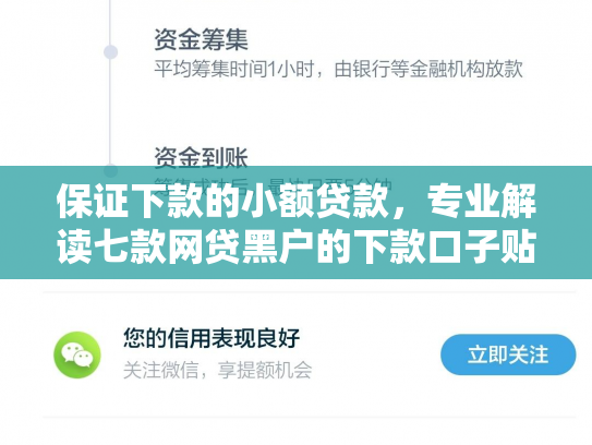 保证下款的小额贷款，专业解读七款网贷黑户的下款口子贴吧